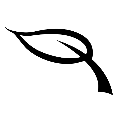 logo of Eccotique: Cosmetics, Skin and Haircare. Microneedling, Dermaplaning - Eccotique